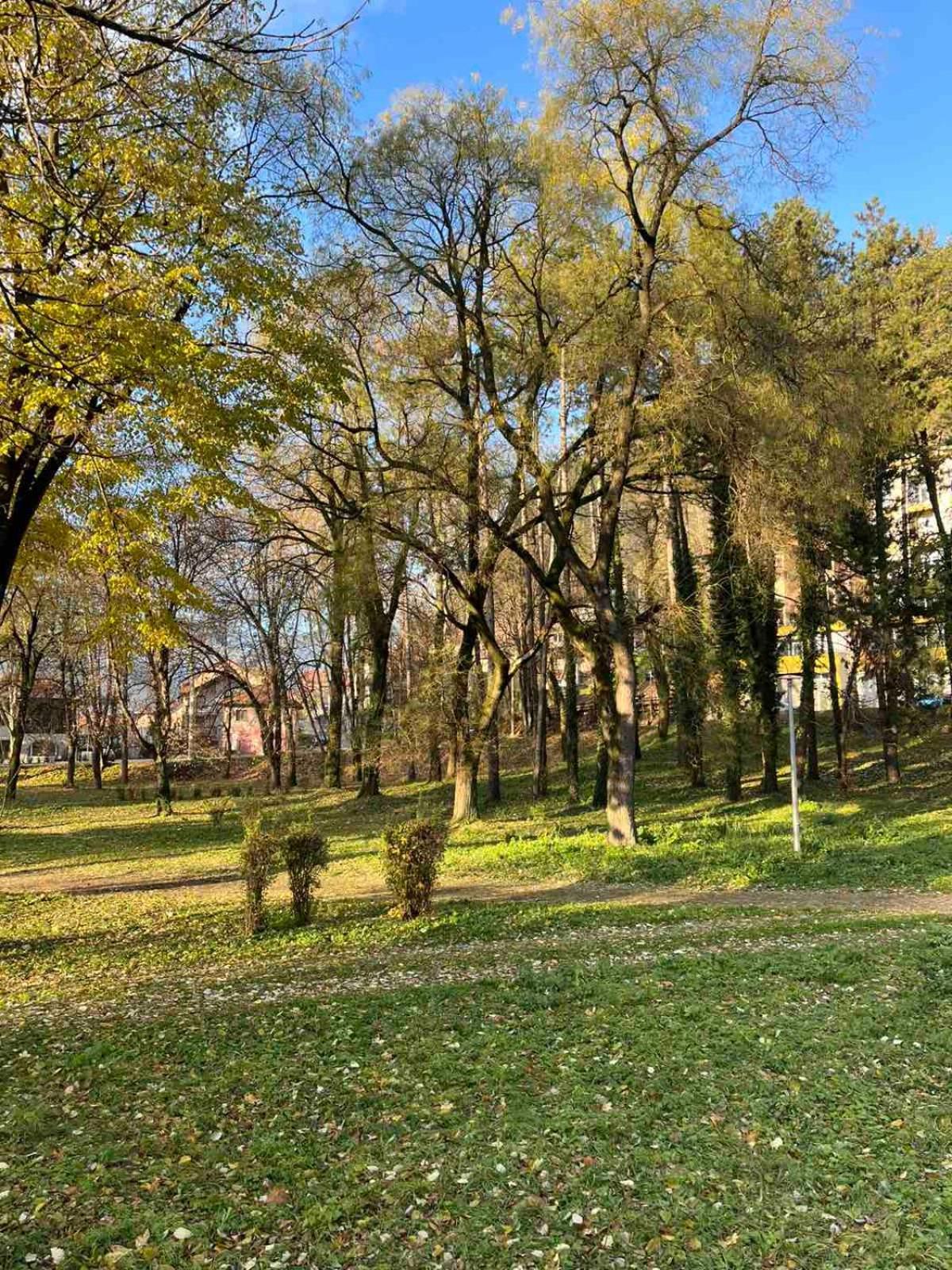 Park Apartment Foca Dış mekan fotoğraf