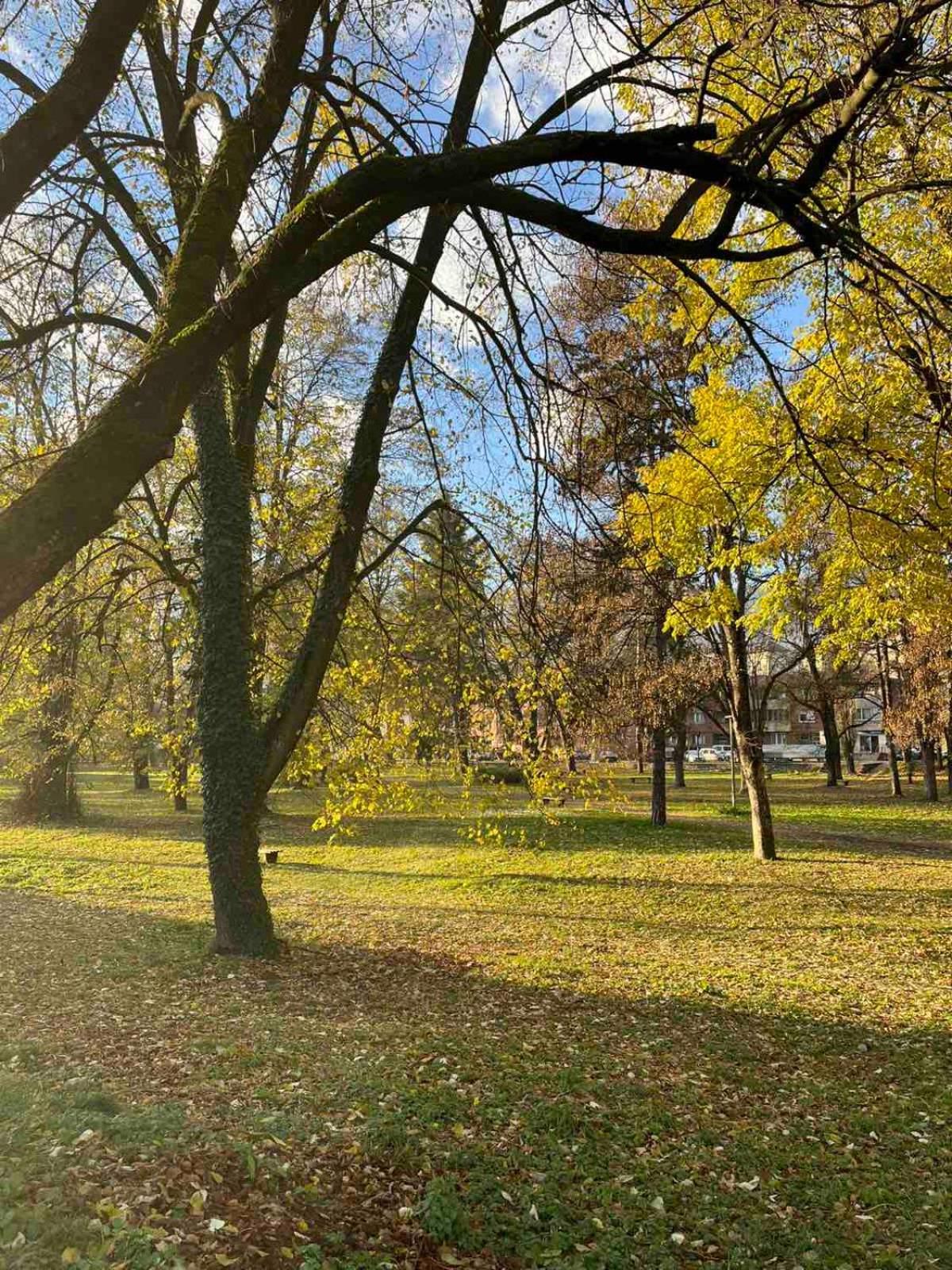 Park Apartment Foca Dış mekan fotoğraf